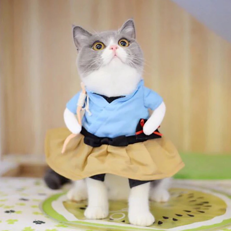 Us 726 42 Offlustige Hund Katze Kostüme Urashima Taro Cosplay Anzug Pet Bekleidung Halloween Weihnachten Kleidung Für Welpen Hunde Kostüm Für Eine
