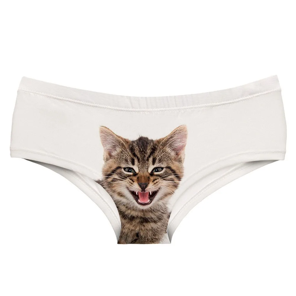 54943 CAT SMILE (3)