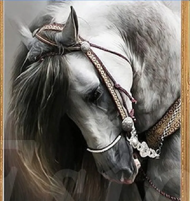 

30x25cm Hot Sale Horse Cross Stitch Printed Kits Draw a Diamond Picture Rhinestones Round Diamond Embroidery