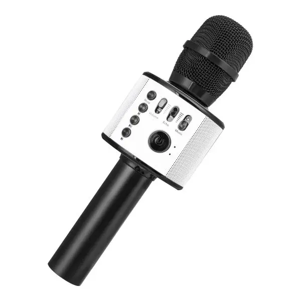 Mini Karaoke Kondensatormikrofon für Telefon Computer Telefon Mikrofon Neu Nett