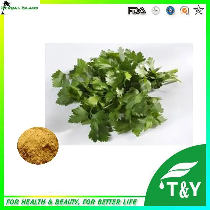China Caraway Seed Extract, Parsley Extract, Coriandrum Sativum Extract