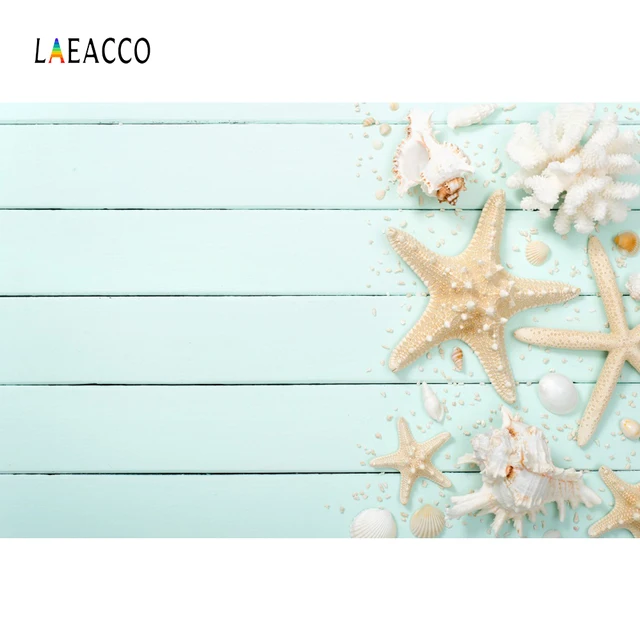 Tropical Summer Shell Starfish Coral Gray Planks Wooden Board Pet Portrait Photography Backdrops Photo Background Photo Studio