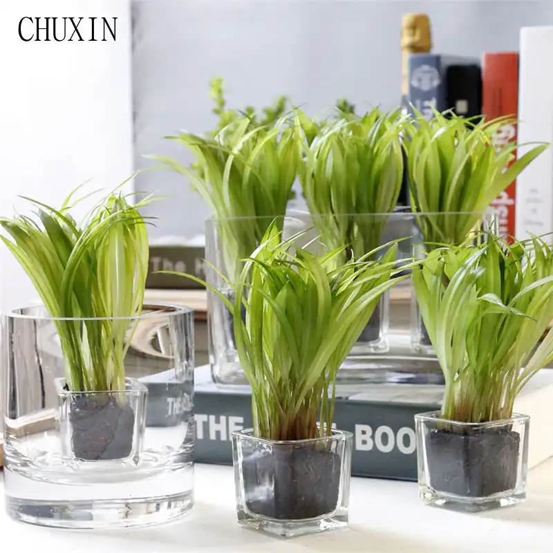 Korean Home Decoration Mini Bonsai Artificial Plants Green Wheat Seedling Glass Mini Potted Artificial Succulent Garden Decor Decoration Minie Decorative Decorativedecorative Home Decor Aliexpress