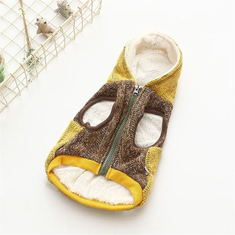dog winter clothes (2)