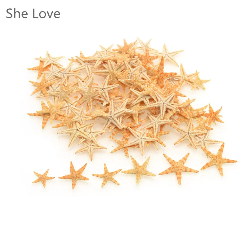 

100pcs Mini Starfish Craft Decoration Natural Sea Stars DIY Beach Cottage Wedding Decor