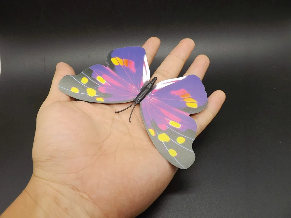I193-Butterfly (2)