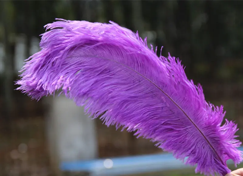 500 шт.; большие размеры 35-40 см, кожа, цвет розовый, окрашенное перо страуса 14-16 дюймов Длинные свадебные украшения ремесленничество - Цвет: purple