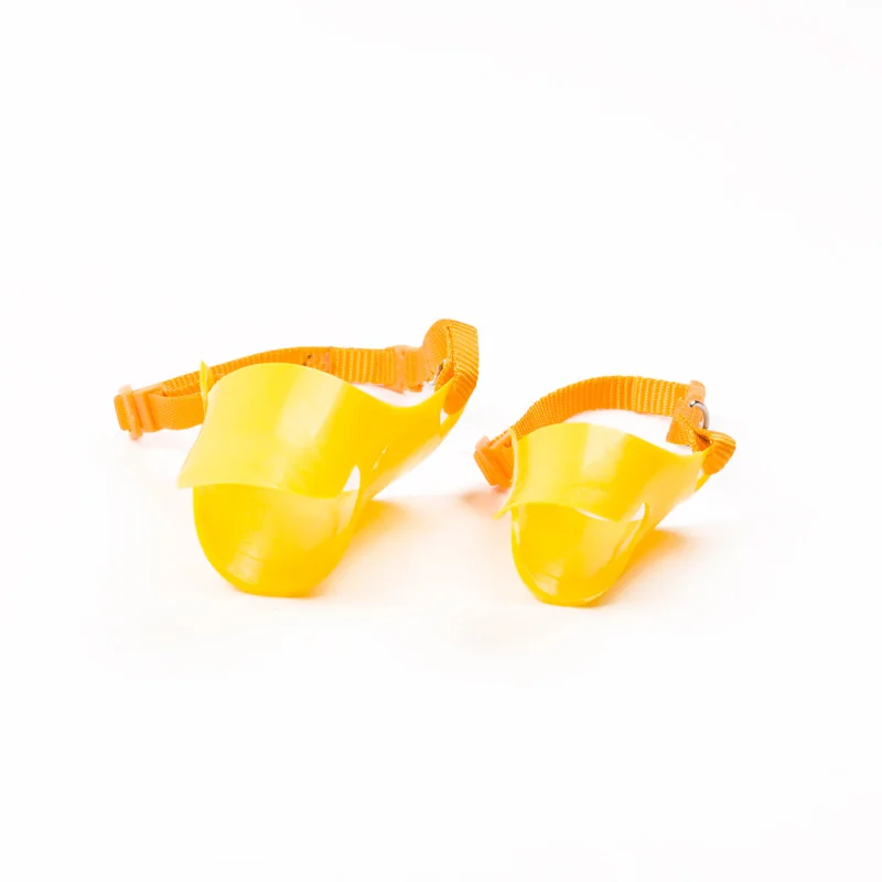 05 Pet Accessories 