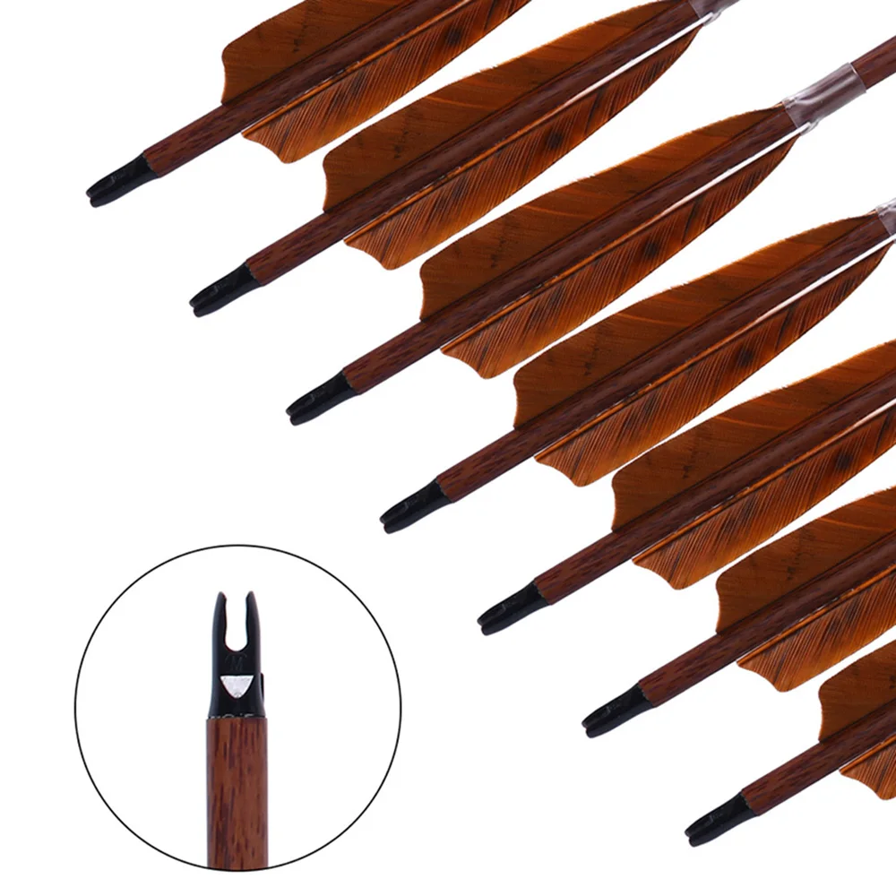 PANDARUS Darts Archery 31Inch Carbon Hunting Arrows 4-Inch Turkey Feather Fletching with Replaceable Points Targeting Practice