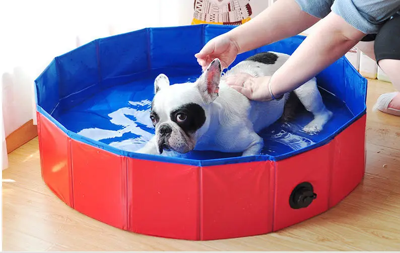 

Oversized Pet dog bathtub folds in large dog and cat pool Summer house heat stroke Easy to change water