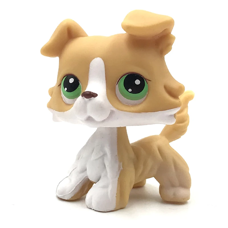 real rare Animal font b pet b font shop lps toys collie 272 yellow white dog