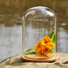 Naturel Préservé En Verre Dôme cap avec Base En Bois Décor À La Maison de mariage décoration fleur vase cadeau inférieur vases En Verre dôme cap nouveau