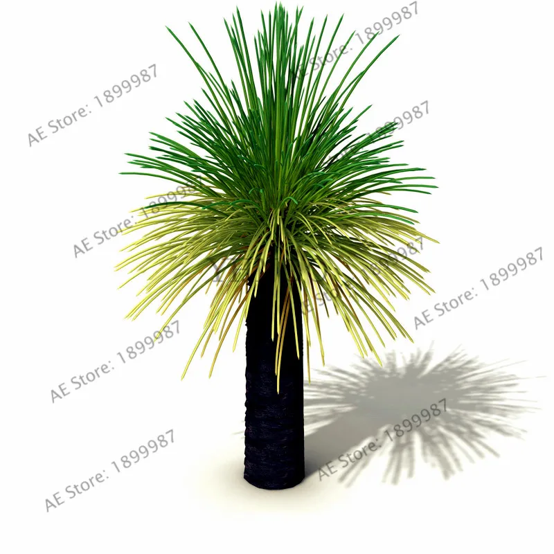 

New arrival!Australian grass tree Bonsai,Rare perennial tree Plantas pot plant for home&garden,easy grow105pcs/pack