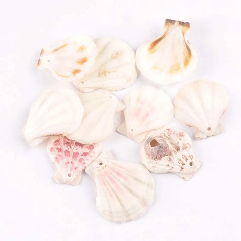 

No Hole 10pcs Sector Natural Shells DIY Jewelry Home Decor For Scrapbook Seashells Handmade Craft Accessories 35-40mm TR0222