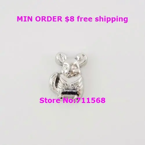 

Chinchilla Floating Charms Animal Charm Pendant For Living Floating Locket DIY Charms