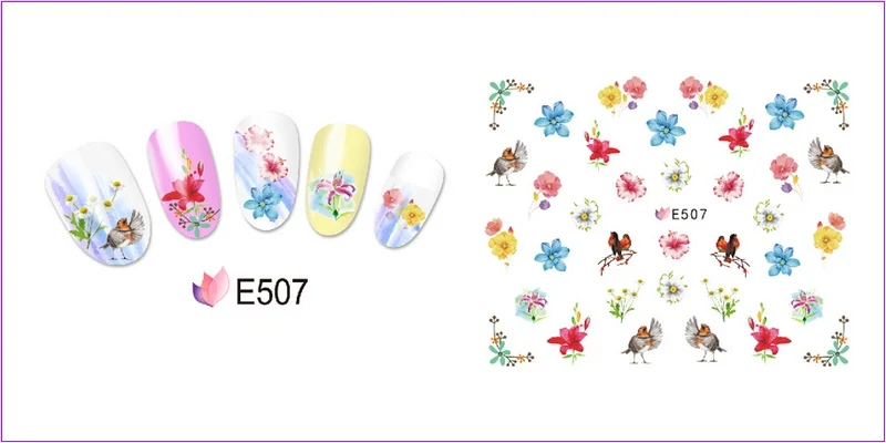 E507