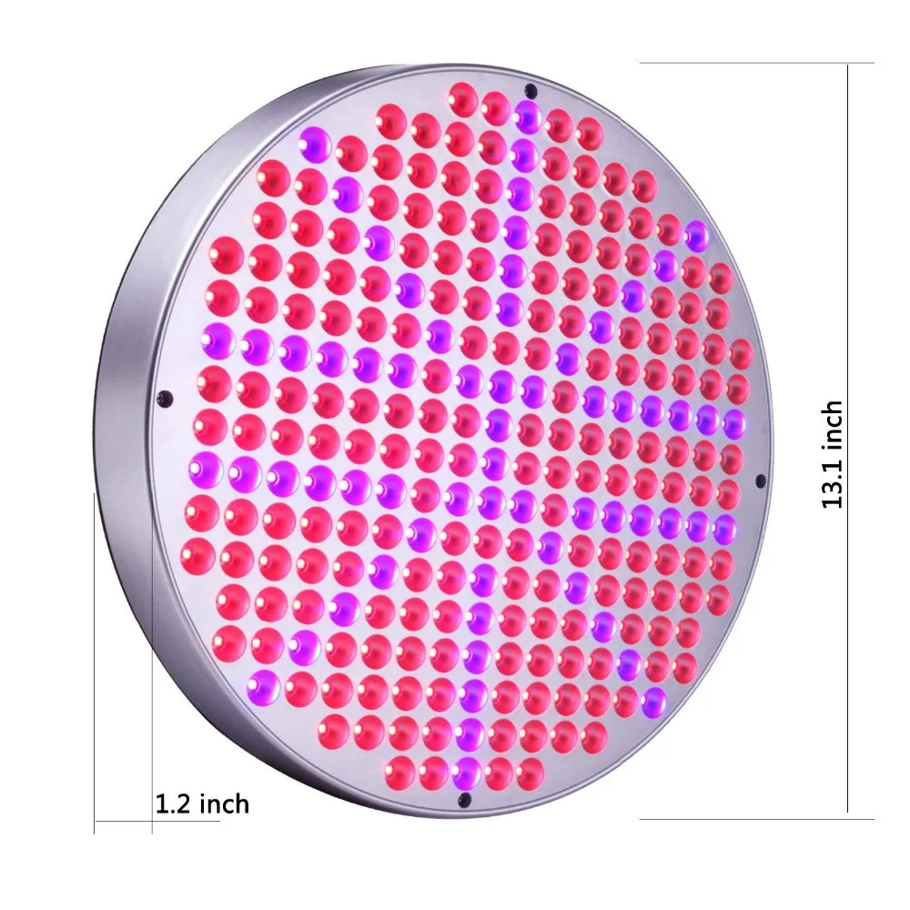 812Zo8dBI1L._SL1500_