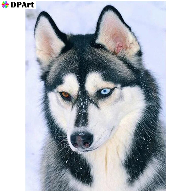 

Diamond Painting Full Square/Round Drill Lovely Husky 5D Daimond Painting Embroidery Cross Kit Mosaic Rhinestone Picture Zou66