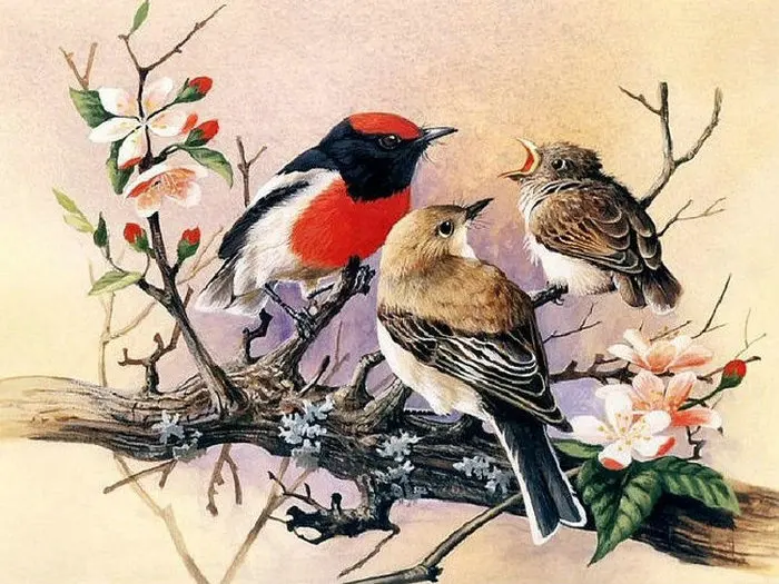 художник базиль эде снегири. художник анималист арчибальд торберн. картина птицы. птицы живопись. художник-анималист mosse stoopendaal.