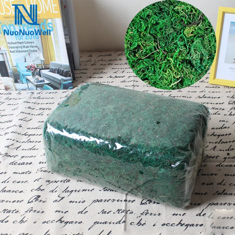 

Flower Pot DIY Decoration Dry Moss Green Compress Packaged Fake Turf Flower Arrangement Accessories About 320g