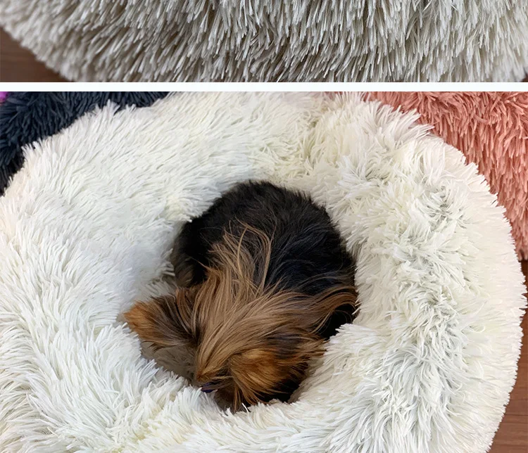pet sofa bed