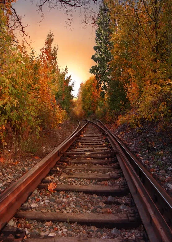 Осенняя Железная Дорога Фото