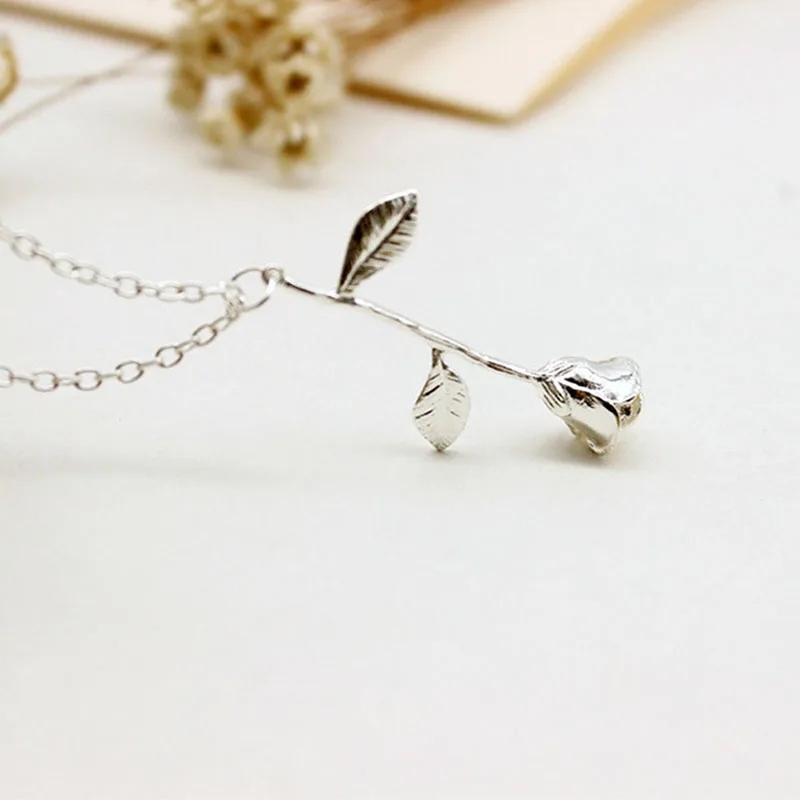 245083_no-logo_245083-3-03