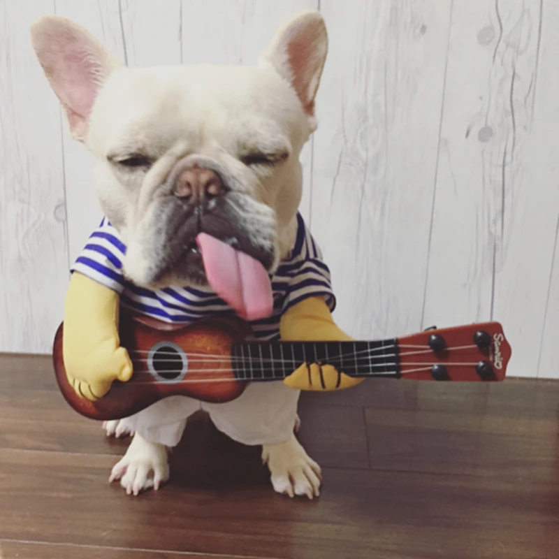 

Curly Wig & Blue-Striped T-shirt with Guitar For Your Dog, Dog Costume