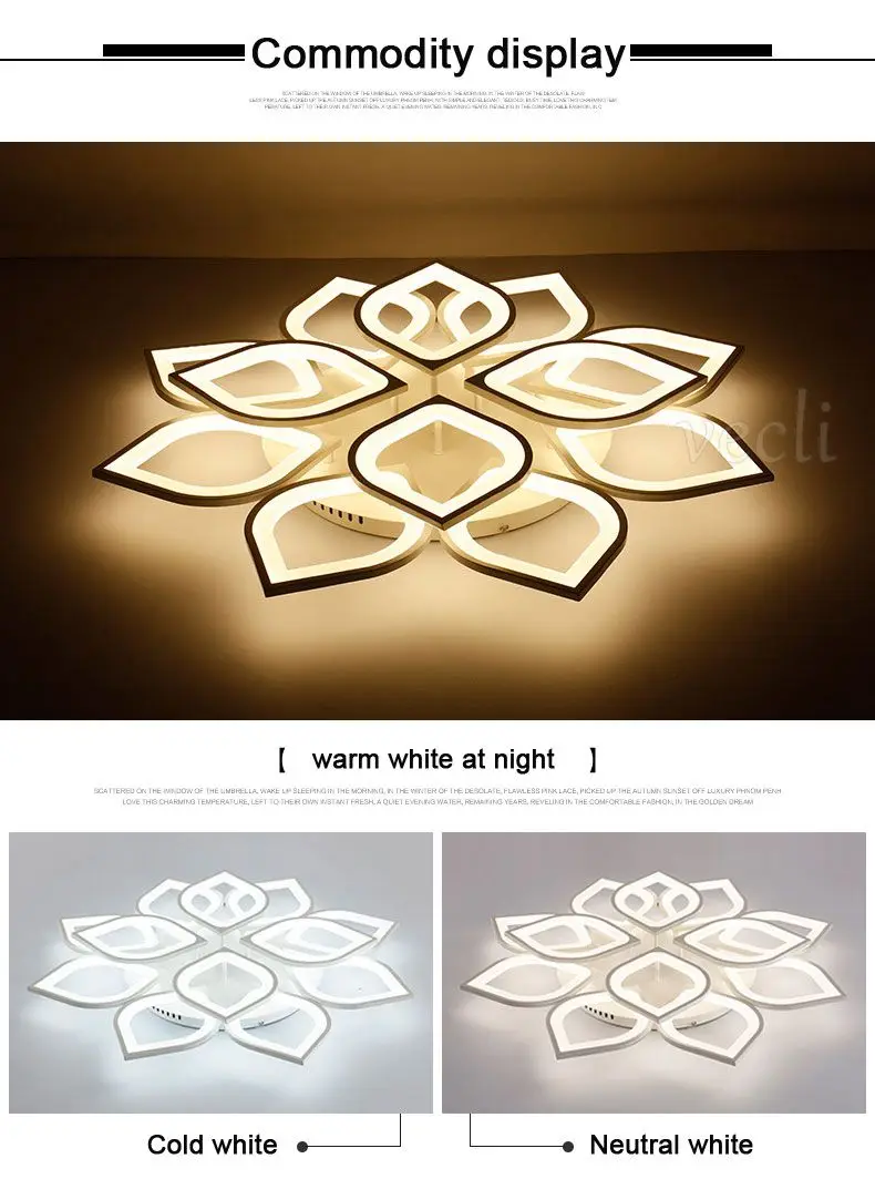 Ceiling lamp (8)