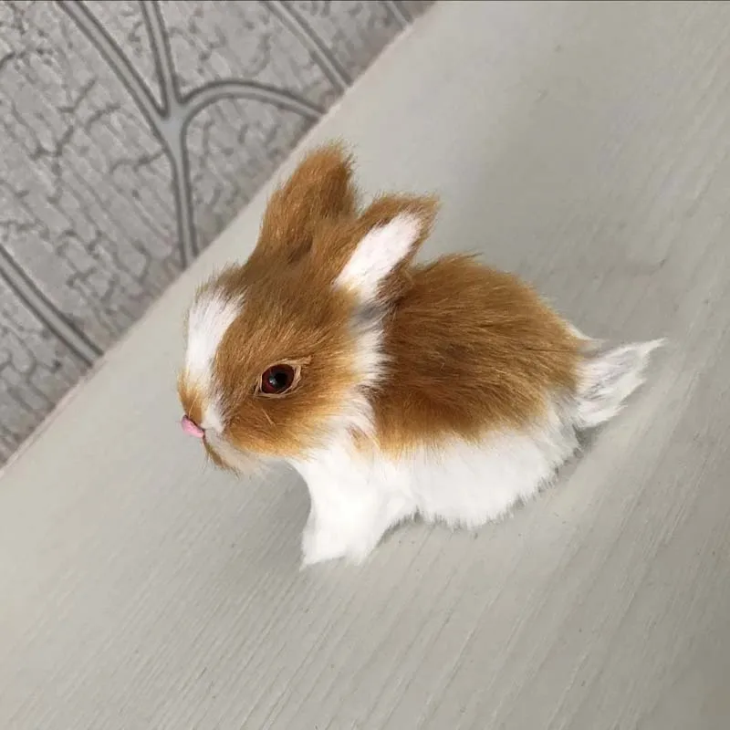 Кролик Домашний Купить