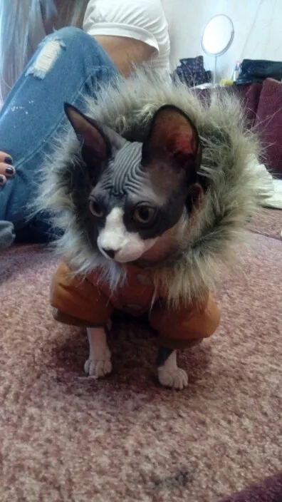 UT8uHrkXD0aXXagOFbXv