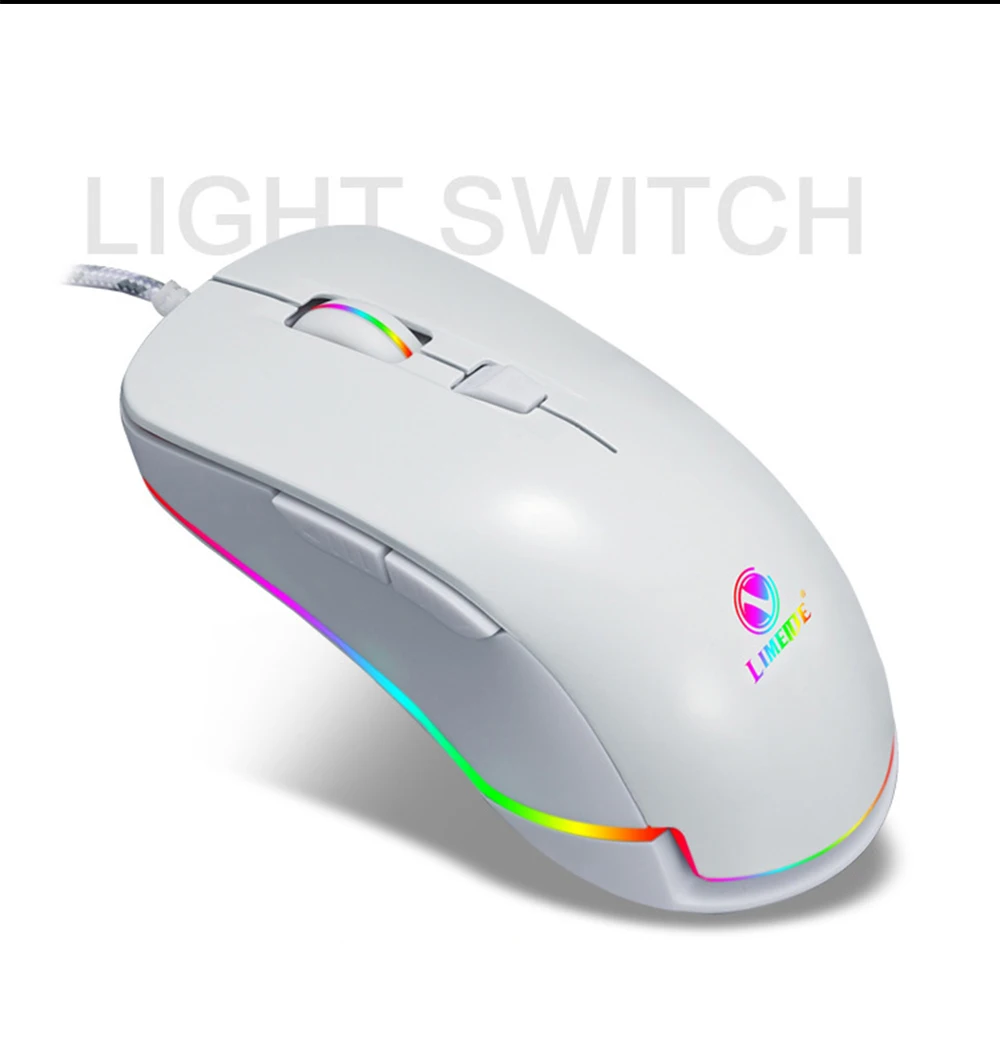 Mouse-2_03