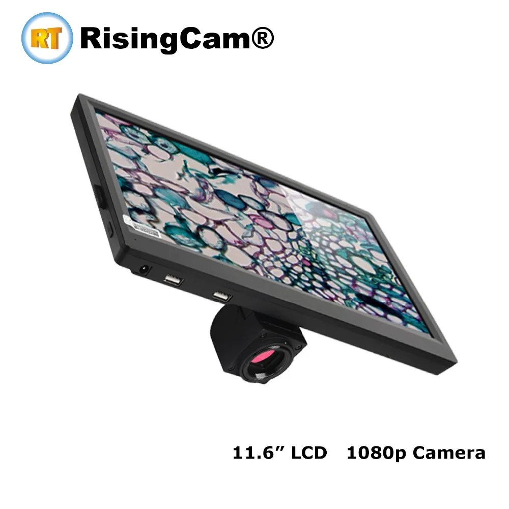 1080P Panasonic Full HD CMOS сенсор микроскоп Камера с 11 6 дюймов ЖК дисплей Экран|Микроскопы| |