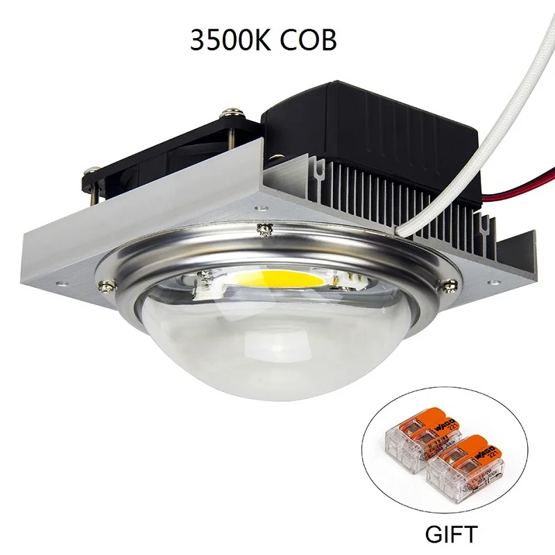 CREE CXB3590 100 Вт 200 Вт COB светодиодный свет для выращивания DIY модуль полный спектр светодиодный светильник для выращивания растений в помещении Идеальный держатель MEANWELL драйвер 185H - Испускаемый цвет: 100W-3500K