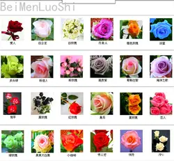 Красивые колючие розы растения различных разновидности садовые украшения 100 шт. mix