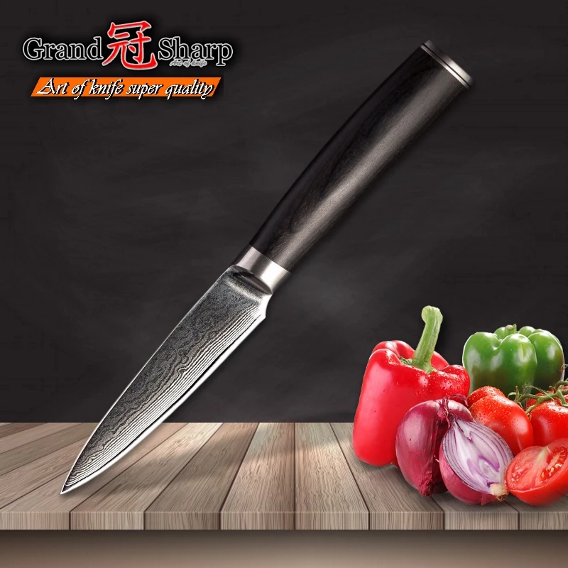 GRANDSHARP 3,5 дюймов нож для очистки овощей высокого качества 67 слоев японской дамасской нержавеющей стали VG10 кухонные инструменты для повара нож для фруктов