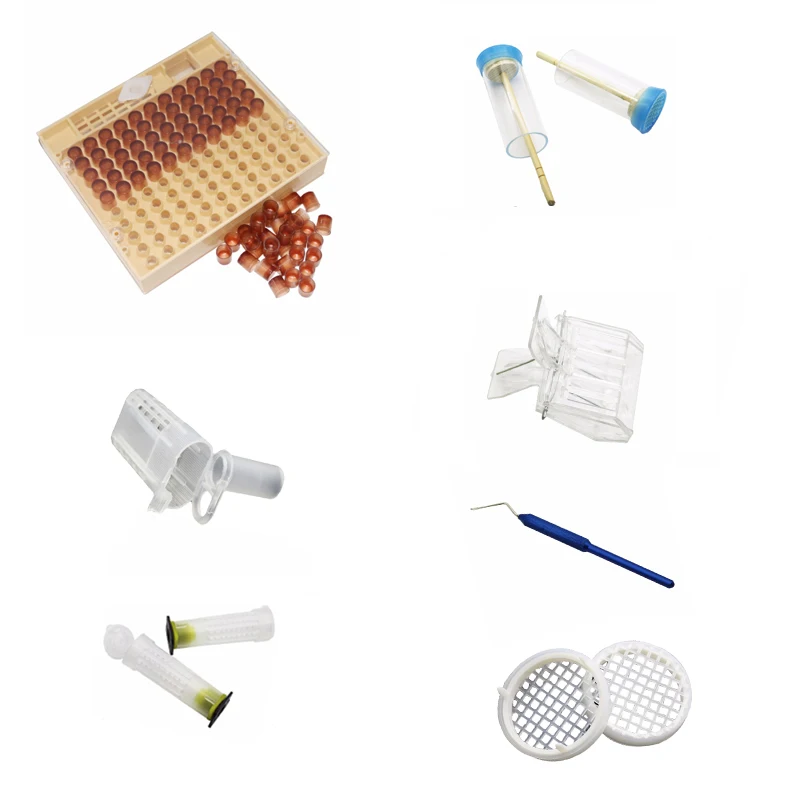 1 Набор пчелиная королева Rearing Cupkit коробка коричневая клетка чашки желтое дно пчелиная клетка королева маркер для бутылки движение иглы Пчеловодство инструменты
