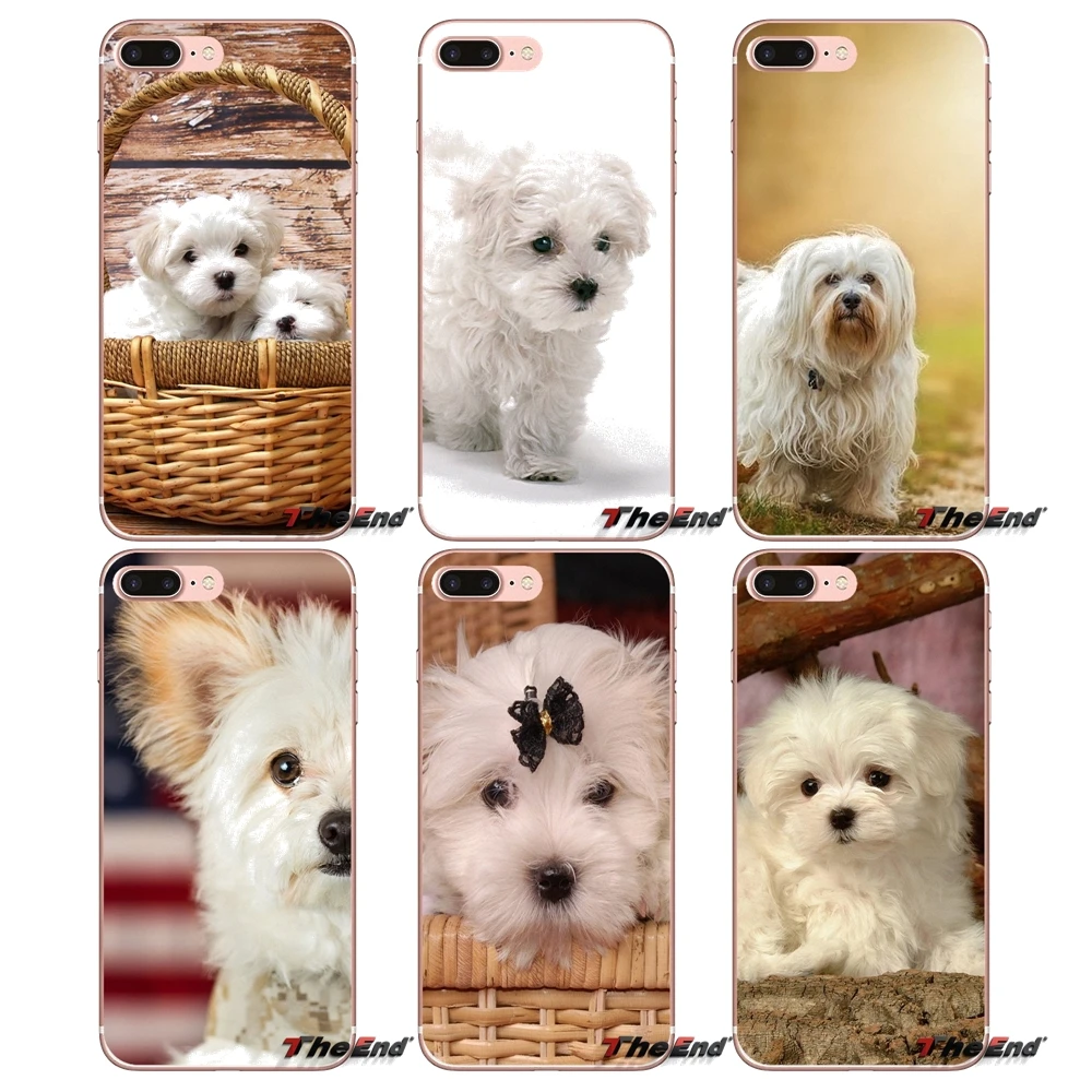 

For Samsung Galaxy S2 S3 S4 S5 MINI S6 S7 edge S8 S9 Plus Note 2 3 4 5 8 Coque Fundas Accessories Cases Covers white Maltese dog