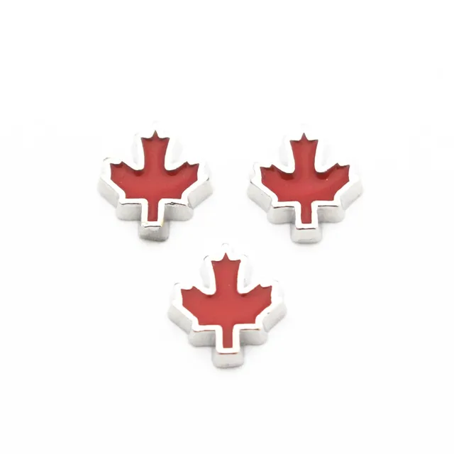 Image 10