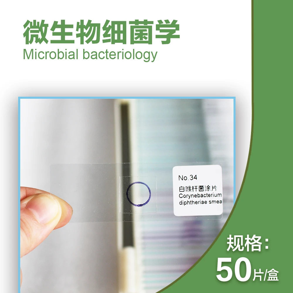 Микроскопы для микроскопа 50 шт.|microscope slides|slides microscopemicroscope specimens |