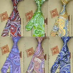 Ручной работы Пейсли Цветочный многоцветный мужские галстуки Галстуки 100% шелк с красочным принтом Повседневная Вечерние для вечеринки