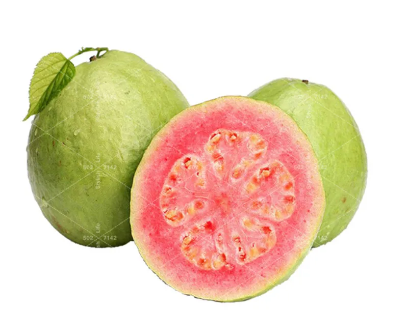 

100 flores Fresh Sweet Red Guava Psidium Guajava Thai Pink Fresh Large Fruits New Home Garden Plant plantas Bonsai Pots