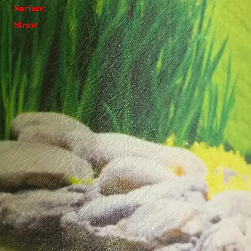 beauty health 05