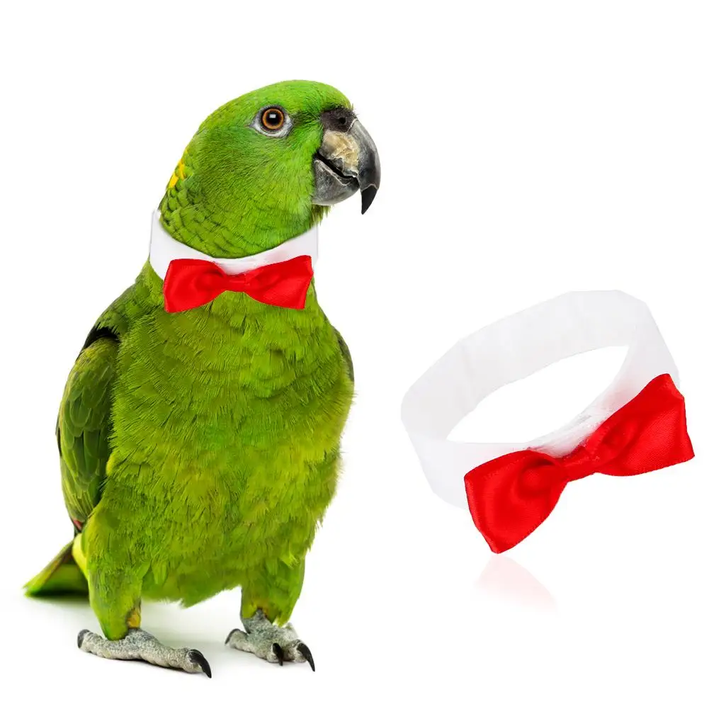 Товары для домашних животных одежда с птицами попугай милый галстук-бабочка галстук для маленький средний большой птицы ошейники для домашних животных