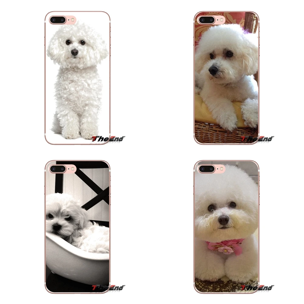 

For Apple iPhone X 4 4S 5 5S SE 5C 6 6S 7 8 Plus 6sPlus 6Plus 7plus 8plus Soft Transparent Shell Covers Bichon frise dog puppy