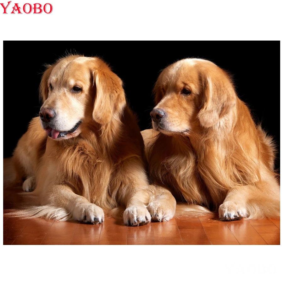 

5D square DIY Diamond Painting Golden Retriever Wall Picture Daimond Embroidery cute pet Cross Stitch kits Mosaic Home Decor