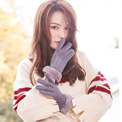 BING YUAN HAO XUAN осенне-зимние замшевые Женские однотонные перчатки для смартфона, сохраняющие тепло, Элегантная Дамская перчатка с пятью пальцами - Цвет: gray