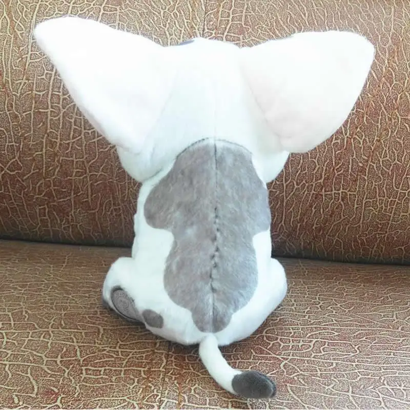 04