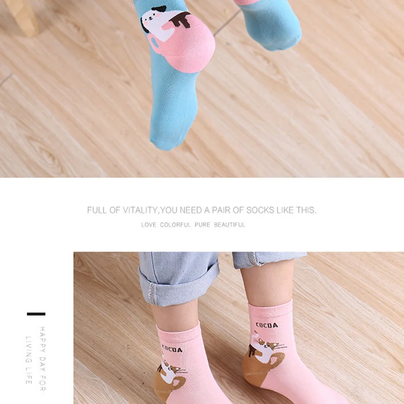 Socks (10)