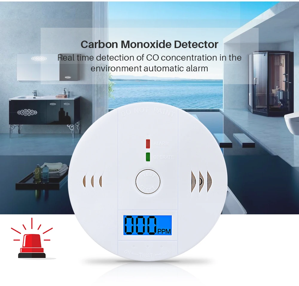 CO Gas Detector (2)